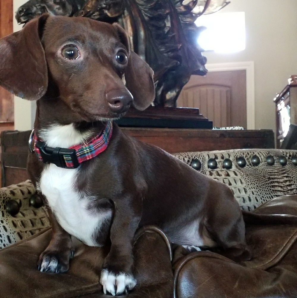 Meet your Posher, Teneka